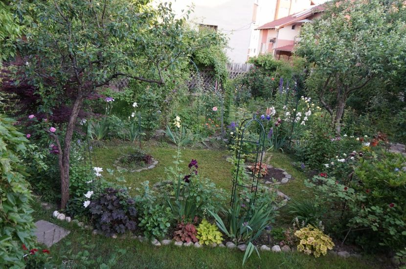  - 2017 Gradina
