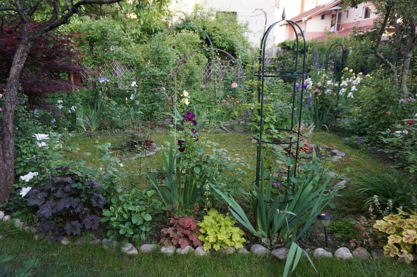 Gradina centrala - 2017 Gradina