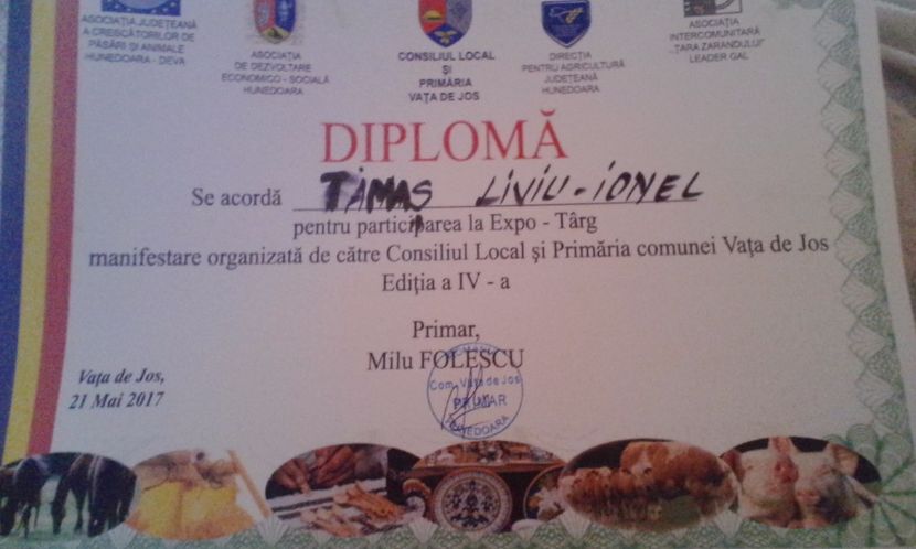  - Prima diploma