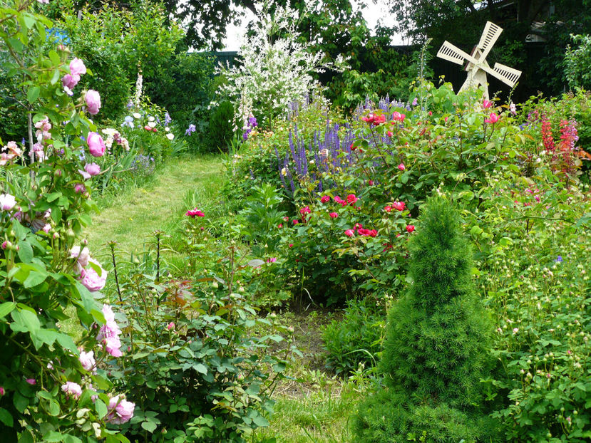 P1280699 - 2017_Moara Vantului