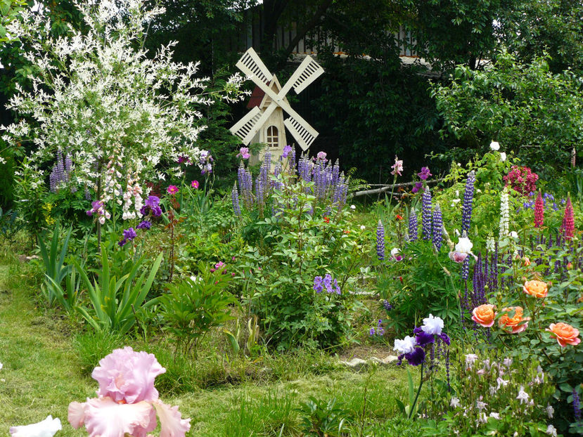 Moara de vant da personalitate gradinii idilice ! - 2017_Moara Vantului