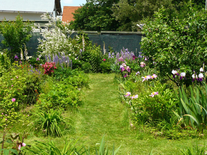 O tema pentru anul viitor ...partea stanga a aleii - 2017_Moara Vantului