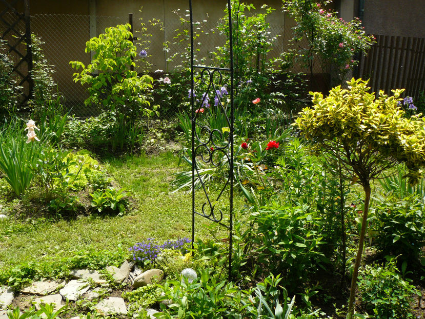 Gradinita casutei cu pridvor - 2017_Moara Vantului