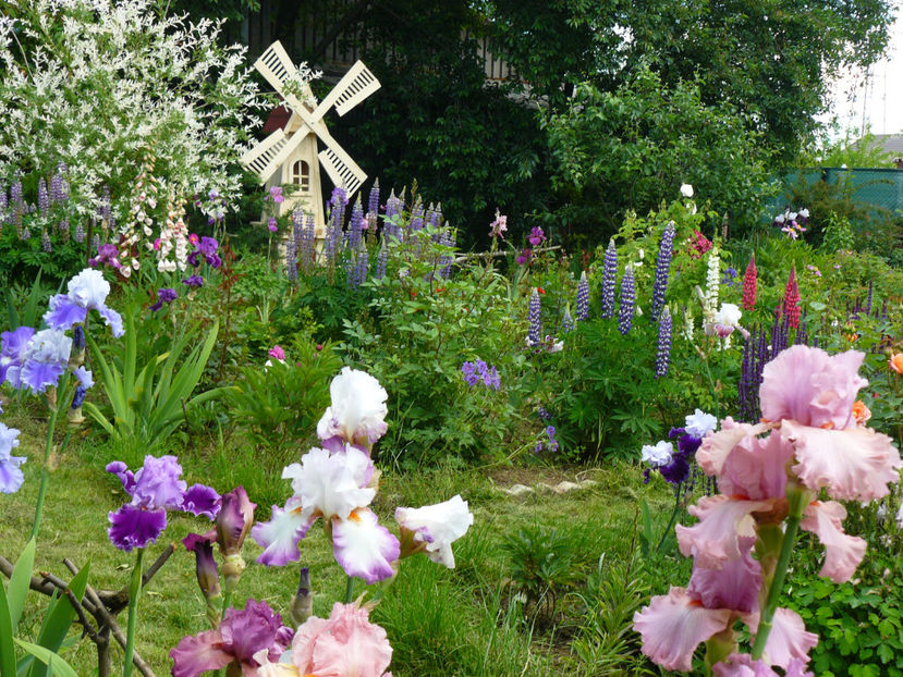 Louisa's song, Ambroisie, Ravissant, Designer Label - 2017_Moara Vantului