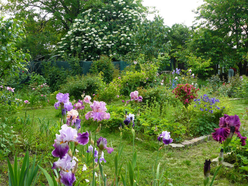 Arabella si Palace Simphony - 2017_Moara Vantului