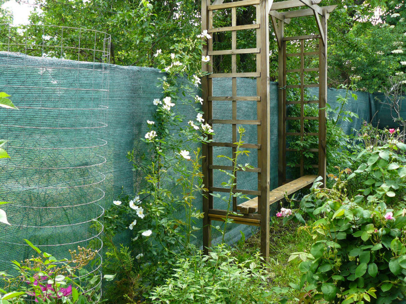 Bobbie James ? - 2017_Moara Vantului