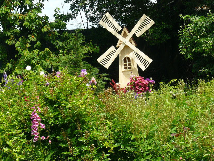 Moara gradinii - 2017_Moara Vantului