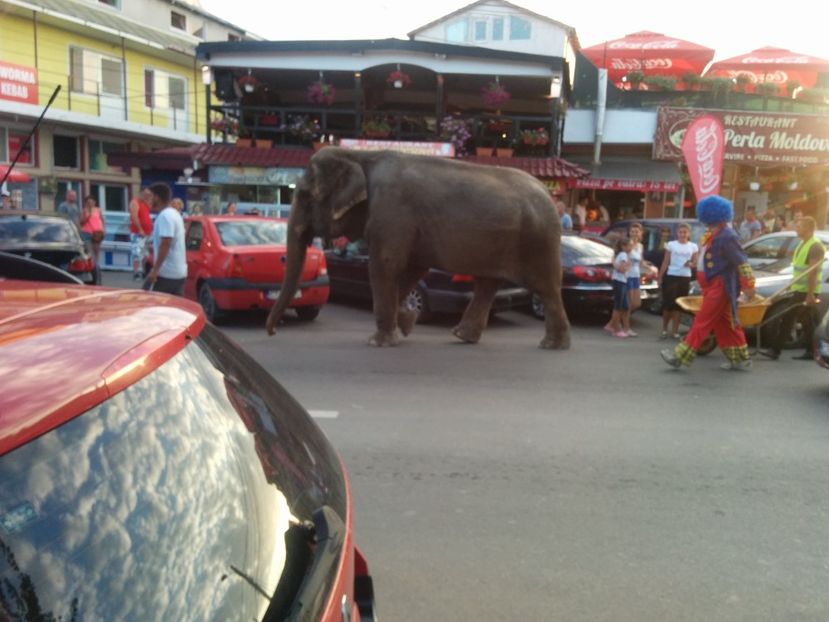  - 2015 07 Eforie Nord