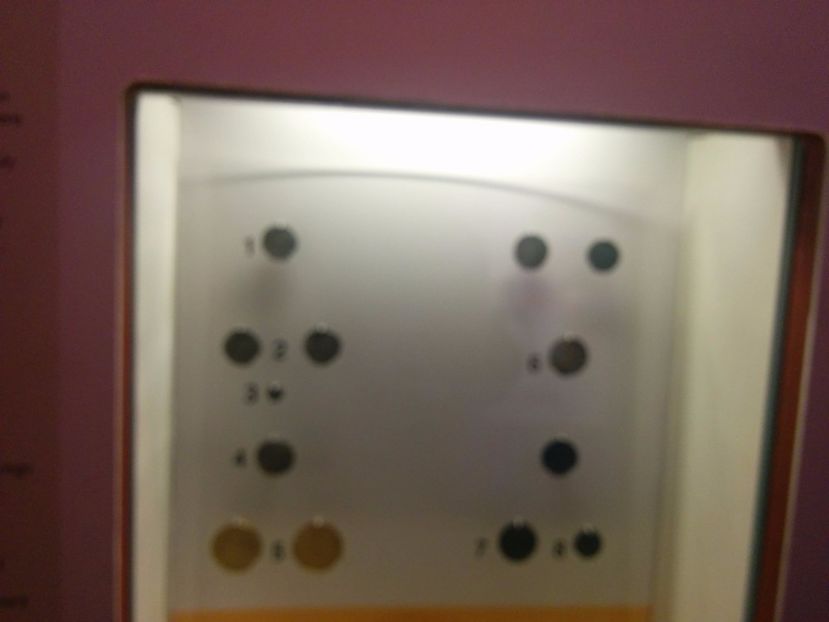  - 2015 Herbert Art Museum