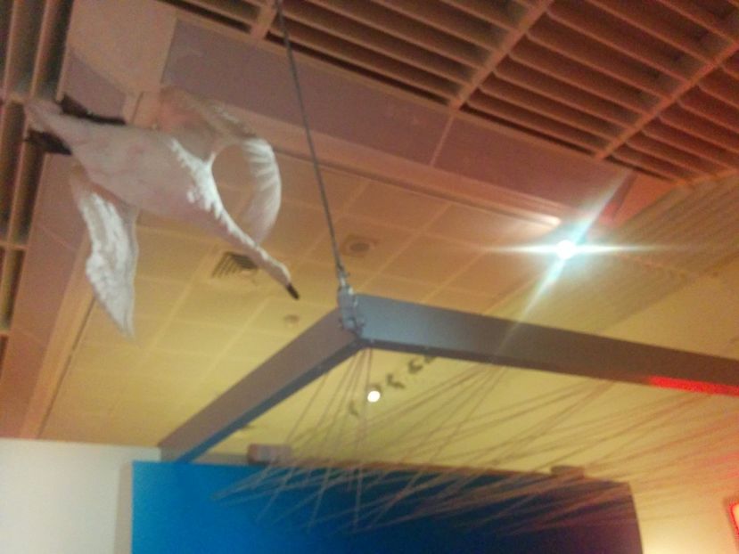  - 2015 Herbert Art Museum