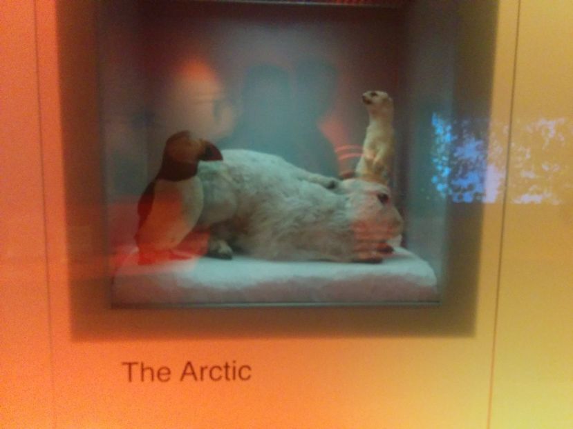  - 2015 Herbert Art Museum