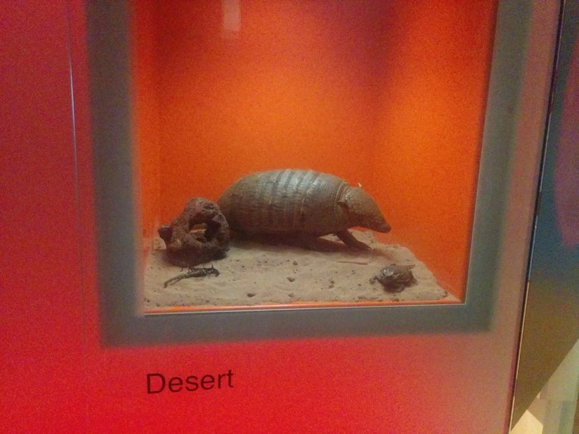  - 2015 Herbert Art Museum
