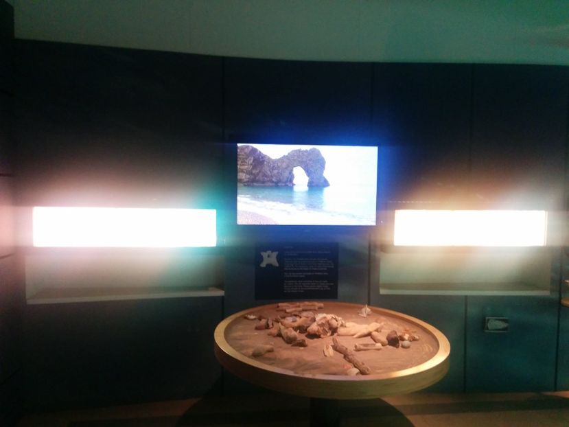  - 2015 Herbert Art Museum