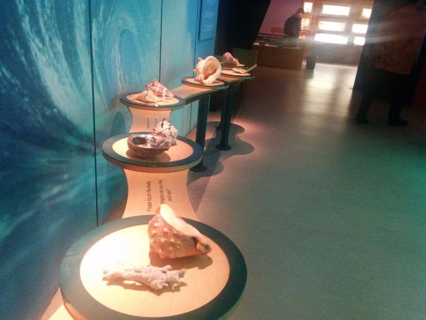  - 2015 Herbert Art Museum