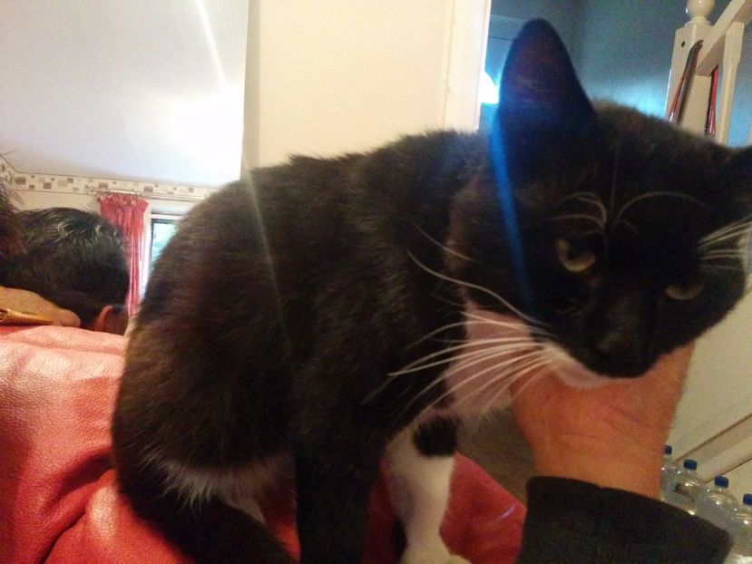  - 2015 09 Northampton