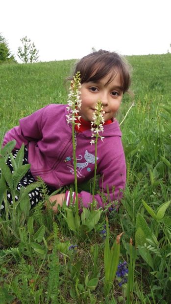  - Ordidee din flora spontana Romania