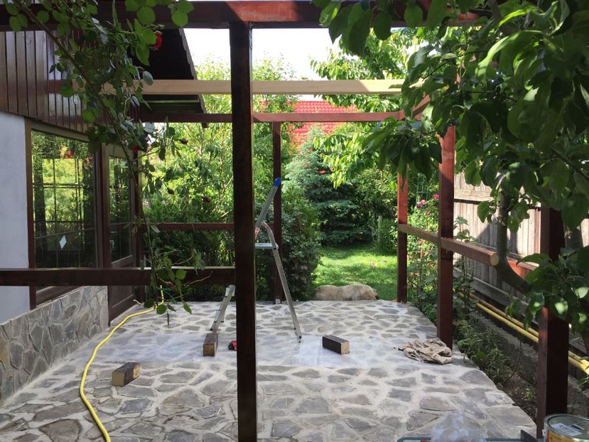 20.05.2017 - Proiect nou 2017 COLIVIA ANDRUTEI