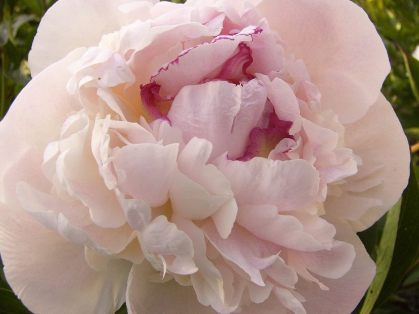 P1330697 - ANUL 2017 VII