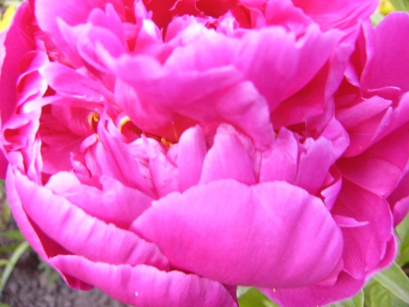 P1330804 - ANUL 2017 VII