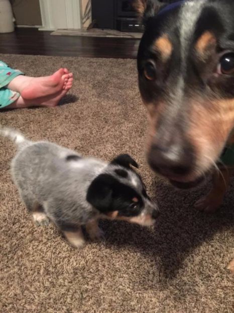  - why did you leave me here to burn