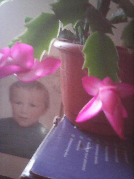 Photo0339 - Flori