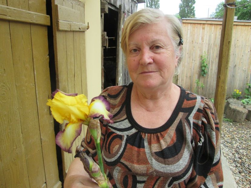  - Gradina cu irisi nr 1 in 2017