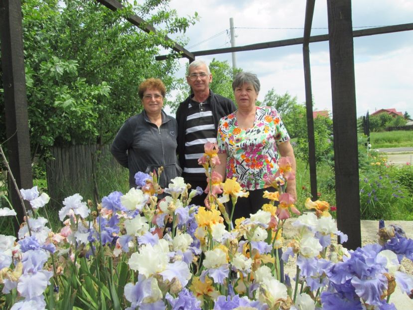  - Gradina cu irisi nr 2 in 2017