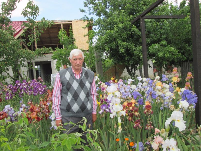  - Gradina cu irisi nr 2 in 2017