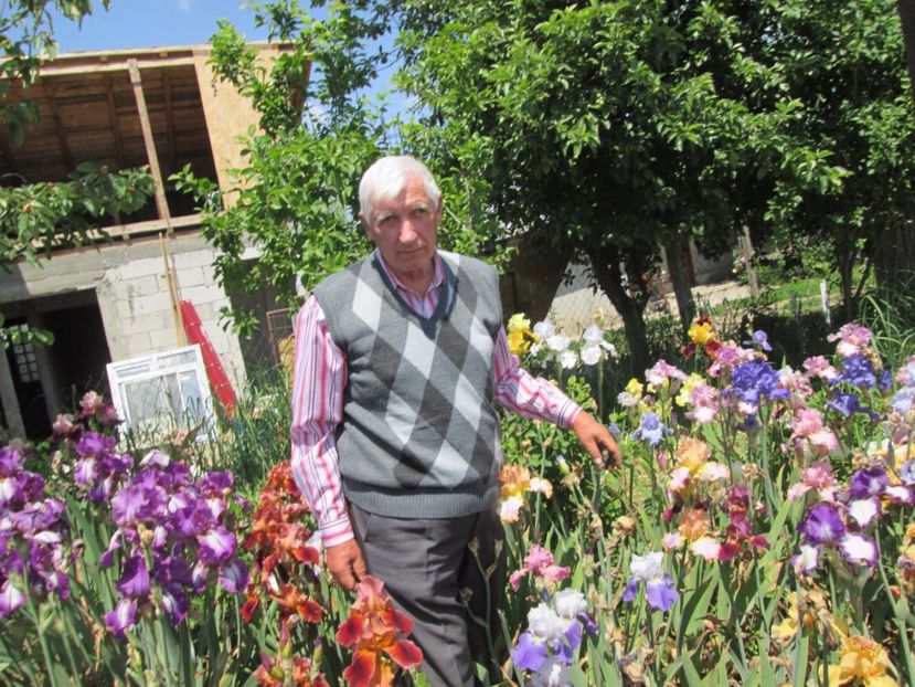  - Gradina cu irisi nr 2 in 2017