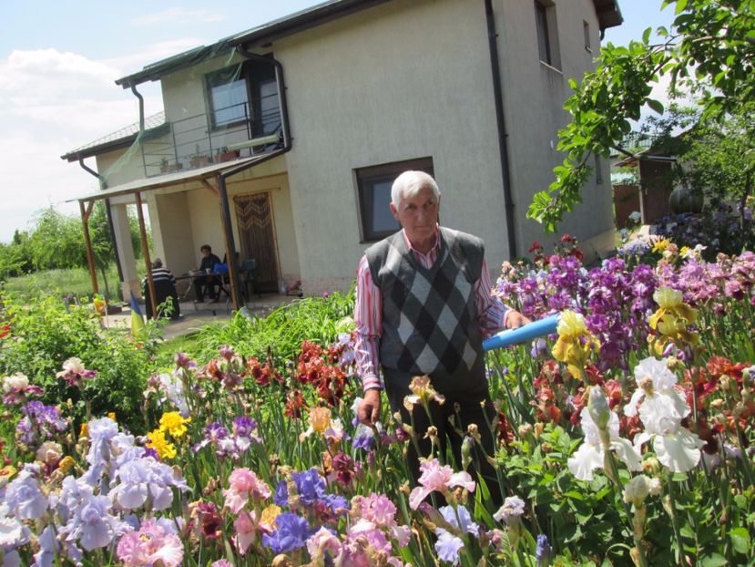  - Gradina cu irisi nr 2 in 2017