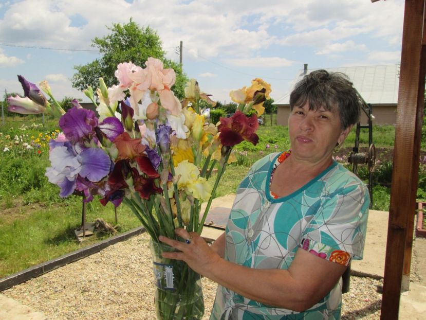  - Gradina cu irisi nr 2 in 2017