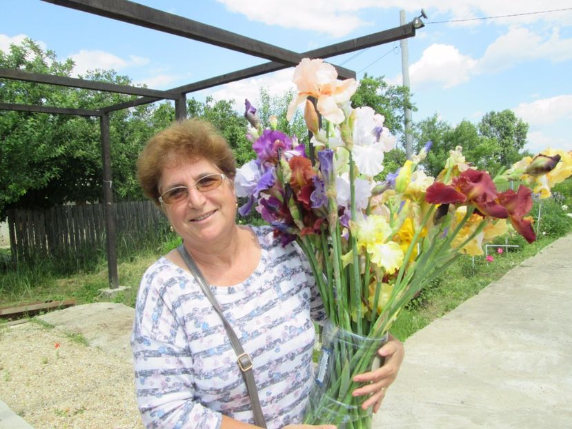  - Gradina cu irisi nr 2 in 2017