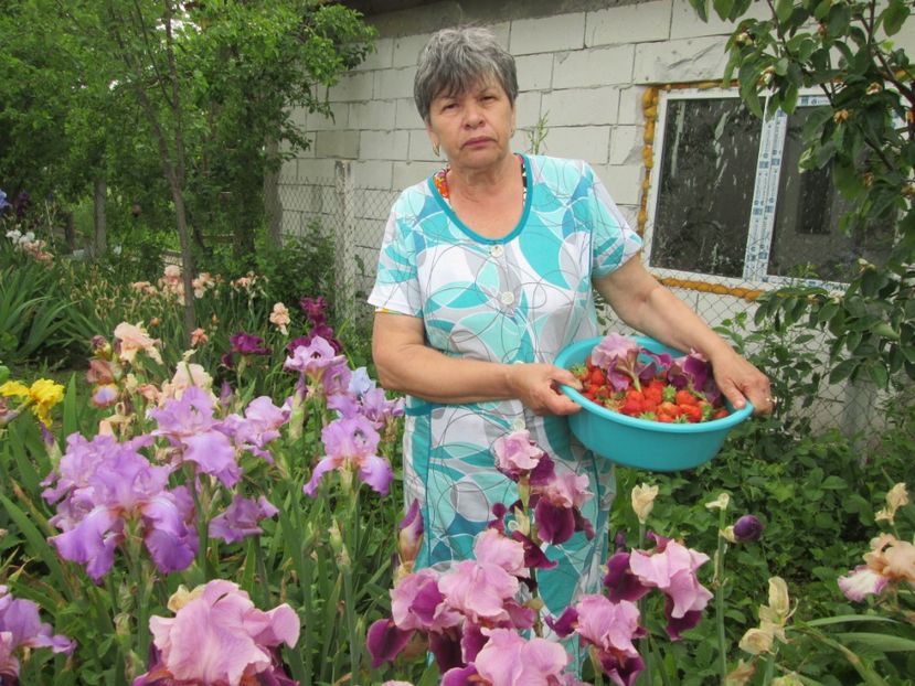  - Gradina cu irisi nr 2 in 2017