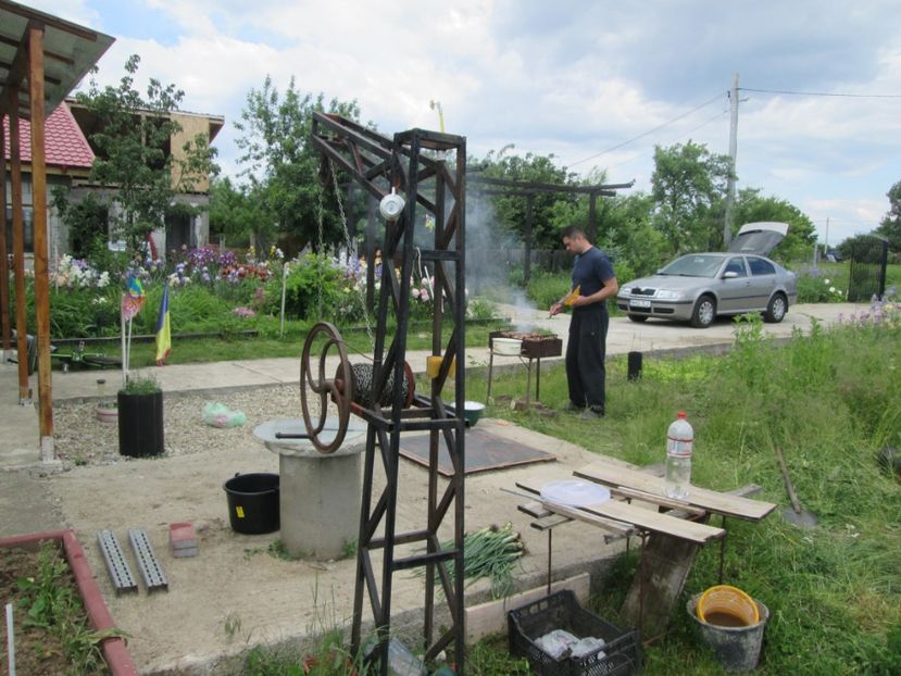  - Gradina cu irisi nr 2 in 2017