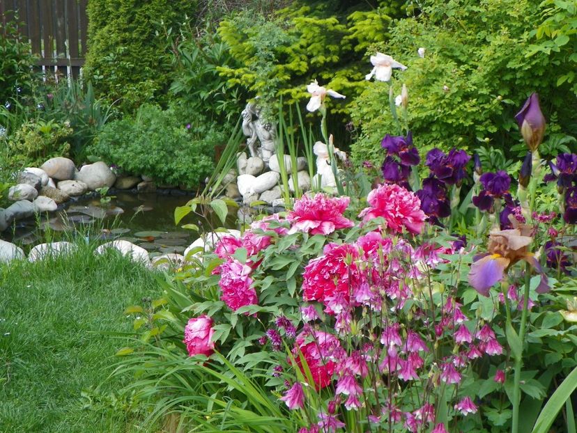 22 mai (66) - Gradina 2017