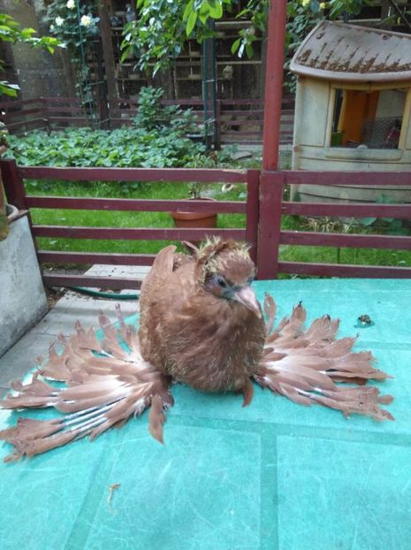 微信图片_20170522220808 - pui 2017