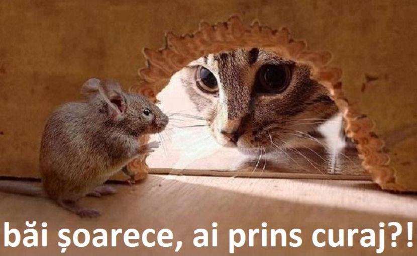 - NATURA ȘI SURPRIZELE EI