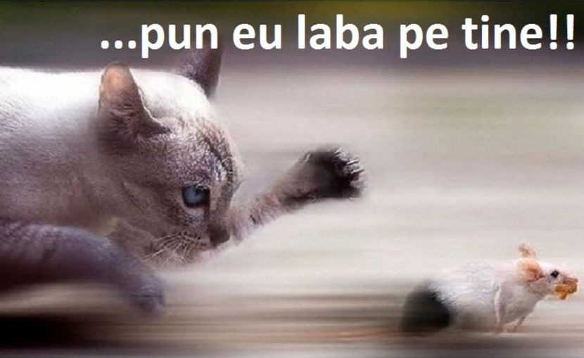  - NATURA ȘI SURPRIZELE EI