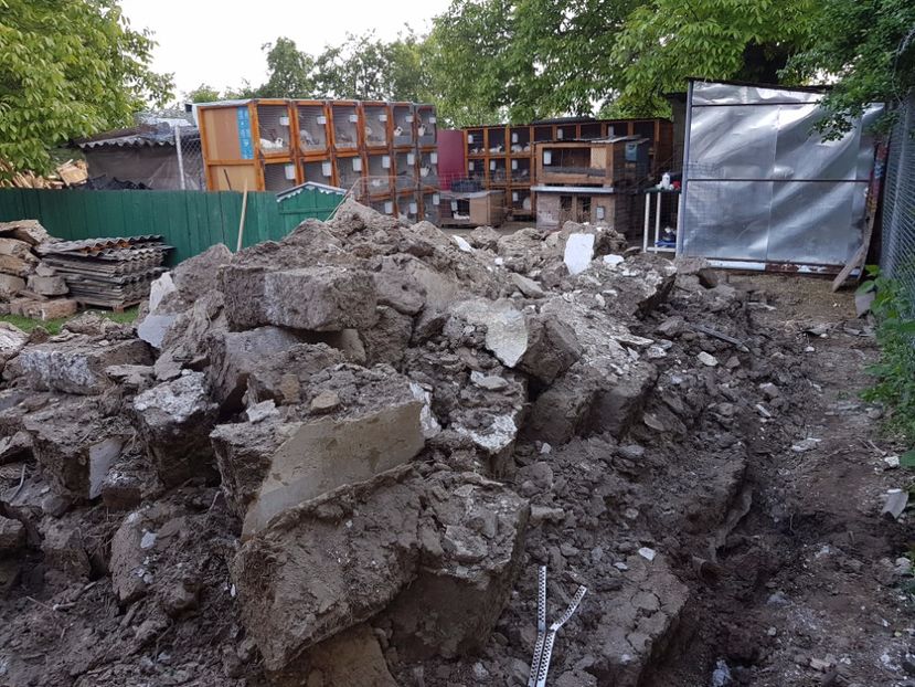 16.05.2017 - 0----------------HALA IEPURI