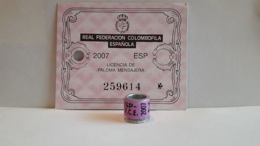 ESP 2007 R.F.C.E - SPANIA - ESP - RFCE