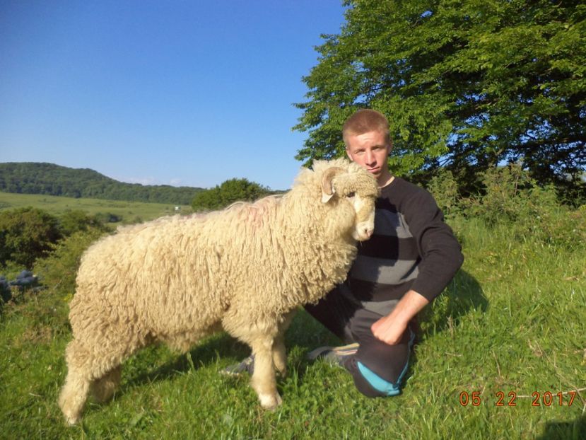  - Productia De Miei 2017