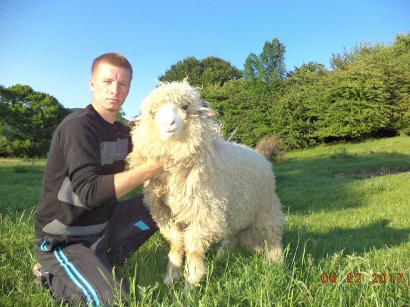  - Productia De Miei 2017