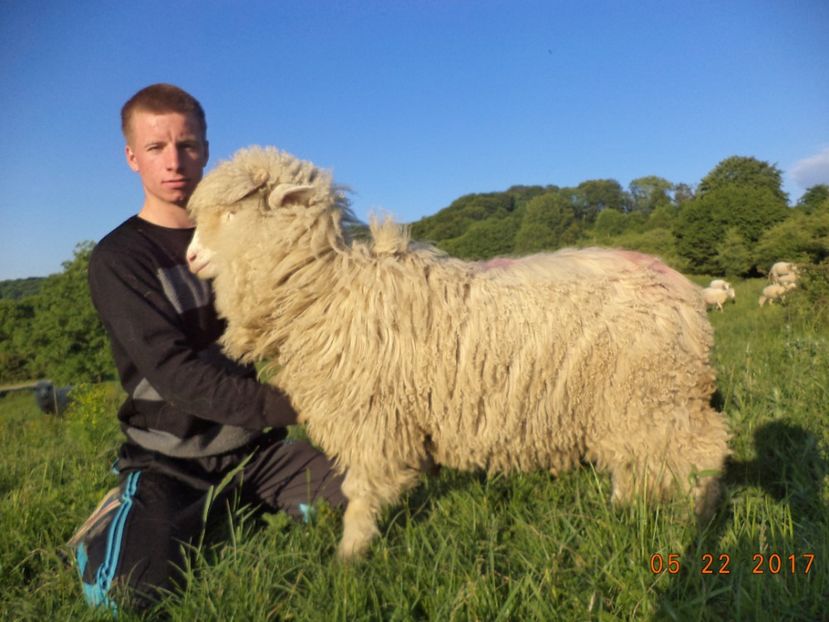  - Productia De Miei 2017