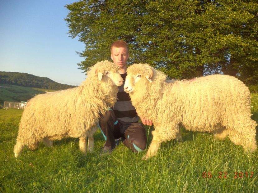  - Productia De Miei 2017