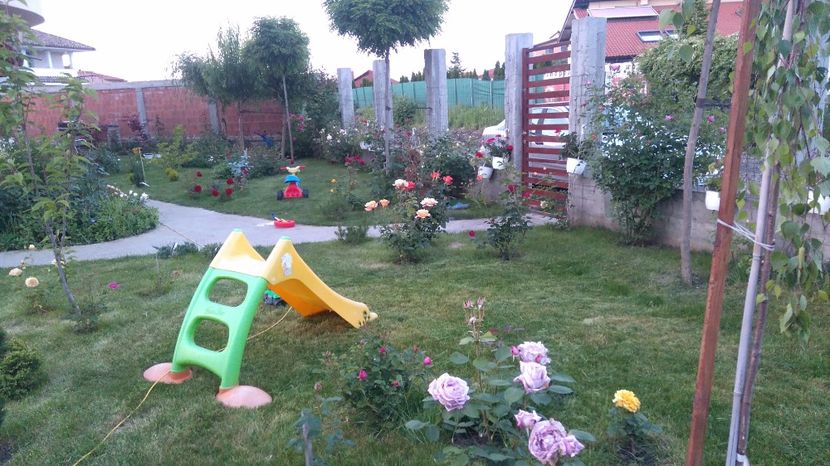  - Cum a evoluat gradina mea