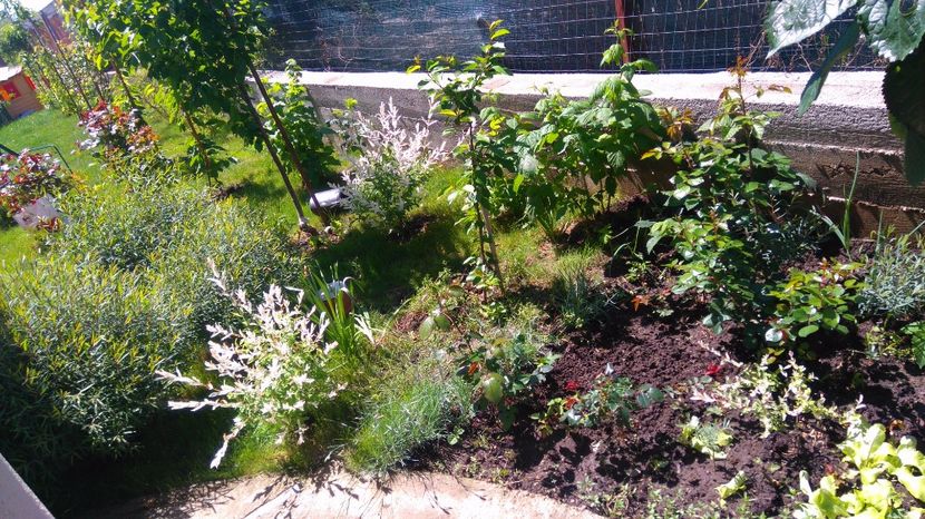 Gradinuta cu de toate - Diverse