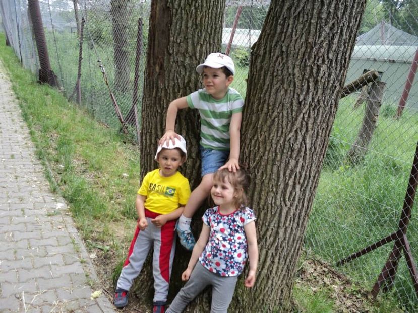  - 2014 LA ZOO TG MURES