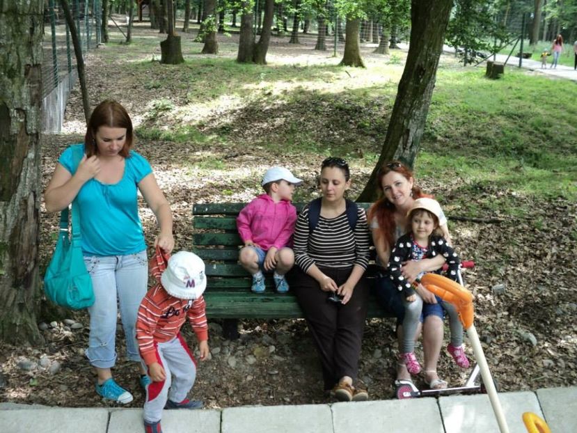  - 2014 LA ZOO TG MURES