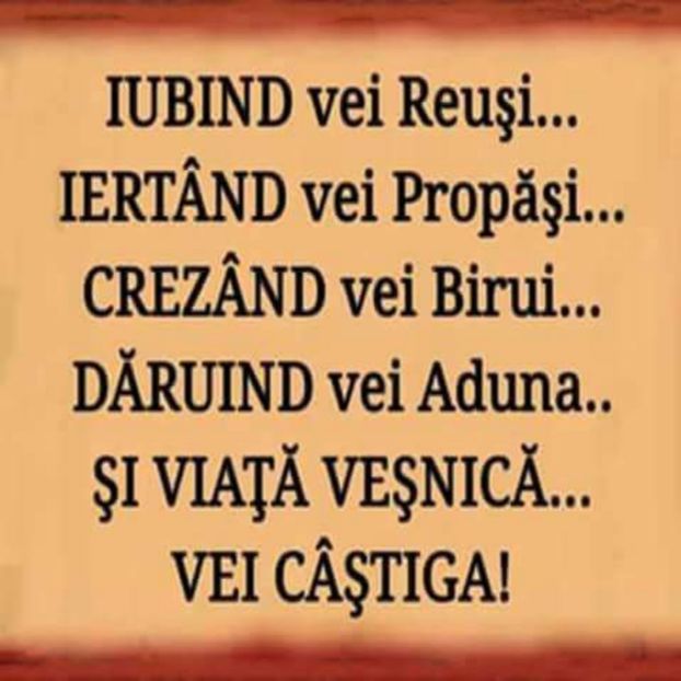 DARUIND - 2014 LA ZOO TG MURES