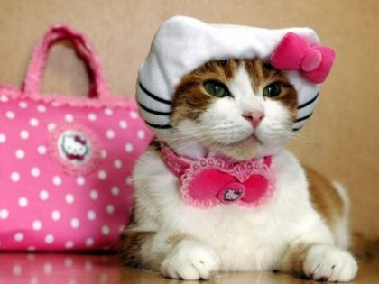 hk - Hello Kitty Lucruri